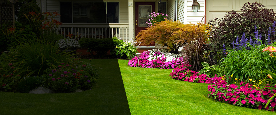 Blakely Landscapers
