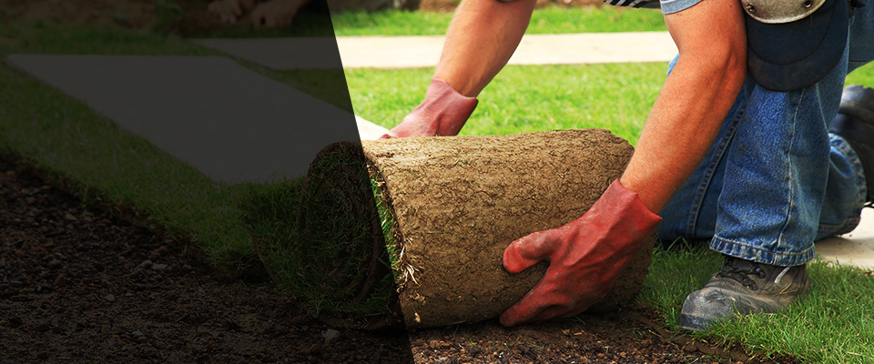Blakely Landscapers